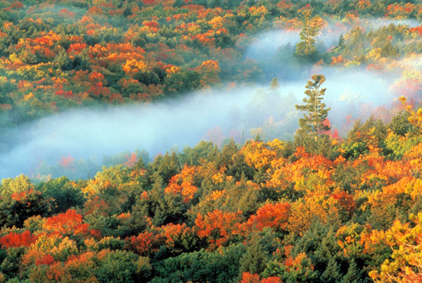 Porcupine Mountain