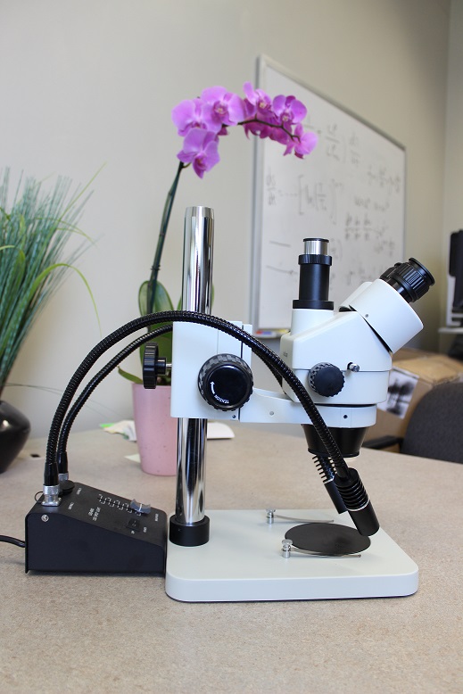 Stereo microscope